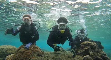 武藤潜水に投稿された画像（2023/3/2）