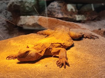 体感型動物園iZooに投稿された画像（2023/3/2）