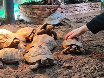 体感型動物園iZooに投稿された画像（2023/3/2）