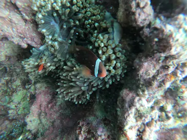 武藤潜水に投稿された画像（2023/3/2）