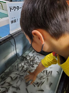 熱川バナナワニ園に投稿された画像（2023/3/2）