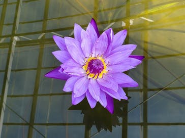 熱川バナナワニ園に投稿された画像（2023/3/2）