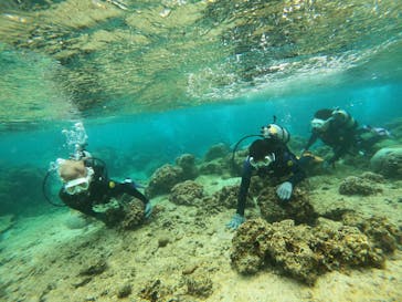 沖縄マリンサービス碧に投稿された画像（2023/3/2）