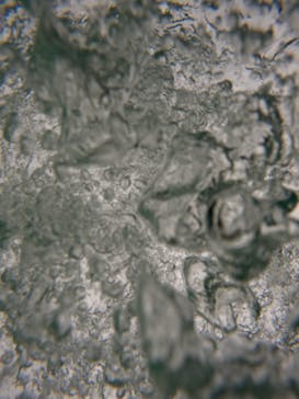 沖縄マリンサービス碧に投稿された画像（2023/3/2）