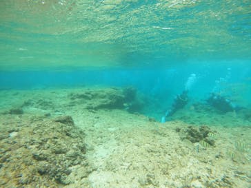 沖縄マリンサービス碧に投稿された画像（2023/3/2）