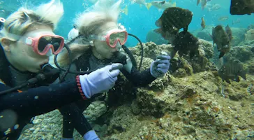 武藤潜水に投稿された画像（2023/3/2）