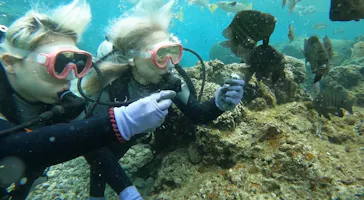 武藤潜水に投稿された画像（2023/3/2）