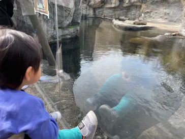 天王寺動物園に投稿された画像（2023/3/2）