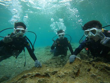 沖縄マリンサービス碧に投稿された画像（2023/3/2）