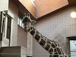 天王寺動物園に投稿された画像（2023/3/2）