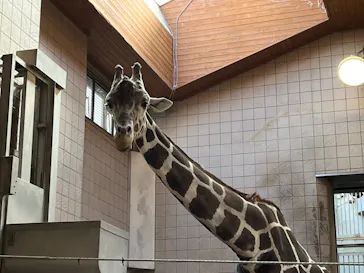 天王寺動物園に投稿された画像（2023/3/2）