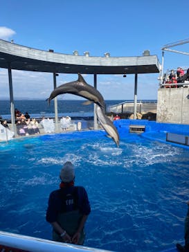 大分マリーンパレス水族館 「うみたまご」に投稿された画像（2023/3/2）