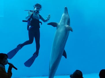 上越市立水族博物館 うみがたりに投稿された画像（2023/3/2）