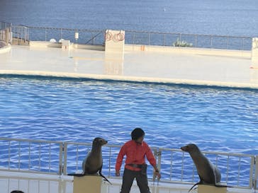 マリンワールド海の中道に投稿された画像（2023/3/2）