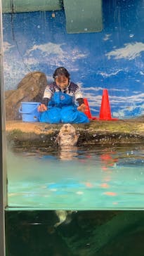 マリンワールド海の中道に投稿された画像（2023/3/2）