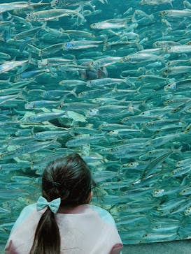 サンシャイン水族館に投稿された画像（2023/3/2）