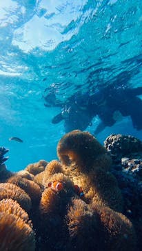 宮古島 ADVENTURE PiPi（ミヤコジマ アドベンチャー ピピ）に投稿された画像（2023/3/2）