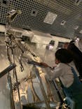 国立科学博物館に投稿された画像（2023/3/3）