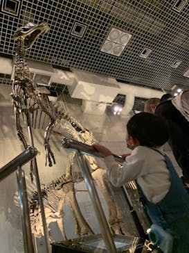 国立科学博物館に投稿された画像（2023/3/2）