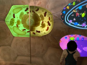 国立科学博物館に投稿された画像（2023/3/2）