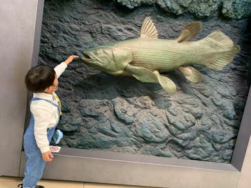 国立科学博物館に投稿された画像（2023/3/2）