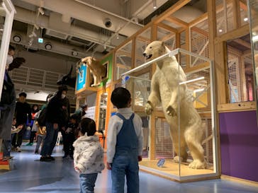 国立科学博物館に投稿された画像（2023/3/2）