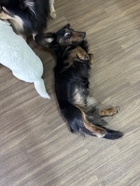 ワールド牧場に投稿された画像（2023/3/3）