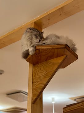 ワールド牧場に投稿された画像（2023/3/3）