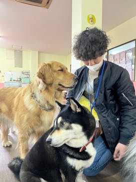 ワールド牧場に投稿された画像（2023/3/3）