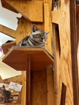 ワールド牧場に投稿された画像（2023/3/3）