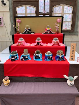 伊豆シャボテン動物公園に投稿された画像（2023/3/3）