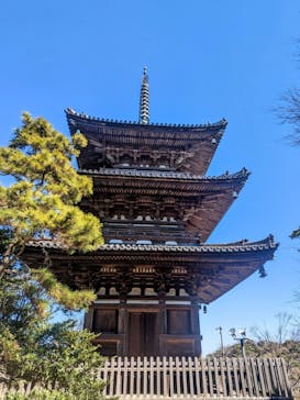 三溪園に投稿された画像（2023/3/3）