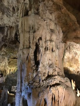 石垣島鍾乳洞に投稿された画像（2023/3/3）
