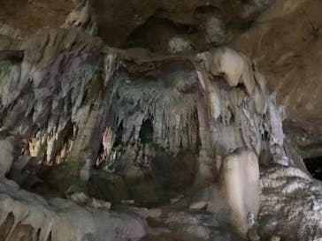 石垣島鍾乳洞に投稿された画像（2023/3/3）