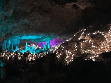 石垣島鍾乳洞に投稿された画像（2023/3/3）