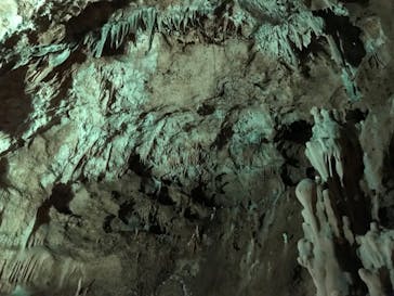 石垣島鍾乳洞に投稿された画像（2023/3/3）