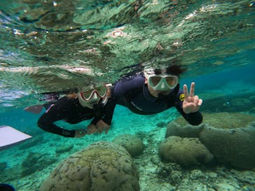 沖縄マリンサービス碧に投稿された画像（2023/3/3）