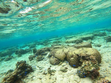 沖縄マリンサービス碧に投稿された画像（2023/3/3）