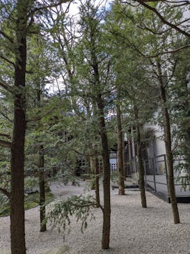 足立美術館に投稿された画像（2023/3/3）