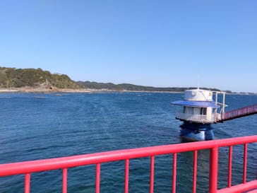 串本海中公園水族館に投稿された画像（2023/3/3）