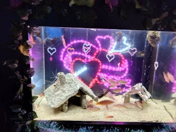 串本海中公園水族館に投稿された画像（2023/3/3）