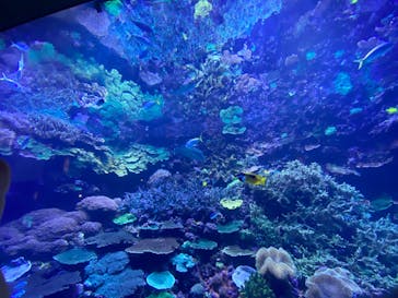 大分マリーンパレス水族館 「うみたまご」に投稿された画像（2023/3/3）