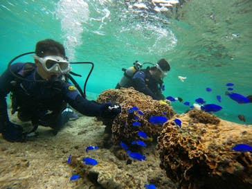 沖縄マリンサービス碧に投稿された画像（2023/3/3）