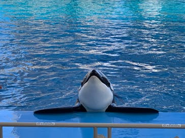名古屋港水族館に投稿された画像（2023/3/3）