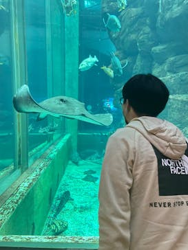 城崎マリンワールドに投稿された画像（2023/3/3）