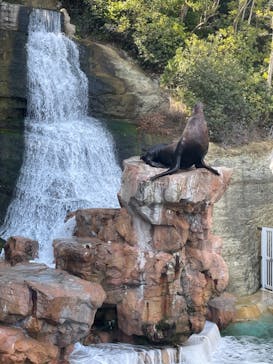 城崎マリンワールドに投稿された画像（2023/3/3）