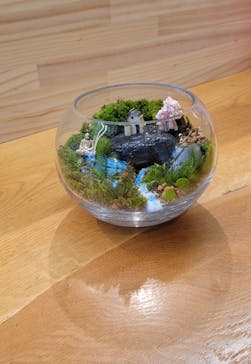 苔むす屋に投稿された画像（2023/3/3）