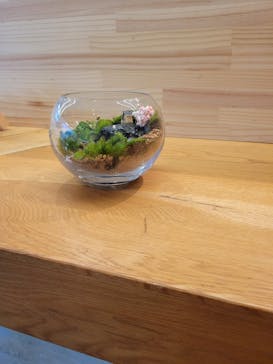 苔むす屋に投稿された画像（2023/3/3）