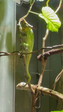 カワスイ 川崎⽔族館に投稿された画像（2023/3/3）