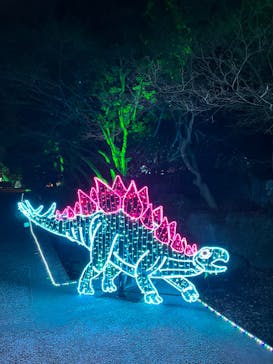 ウルトラマンイルミナージュに投稿された画像（2023/3/3）